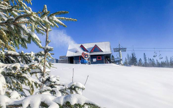 Chalet v zime