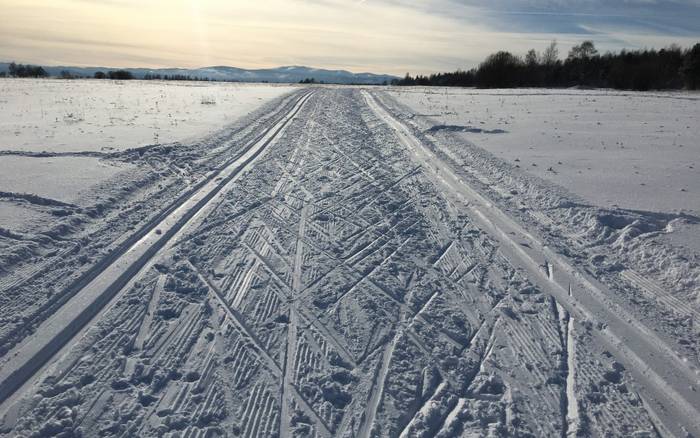 bežkárska stopa Starolesnianske lúky