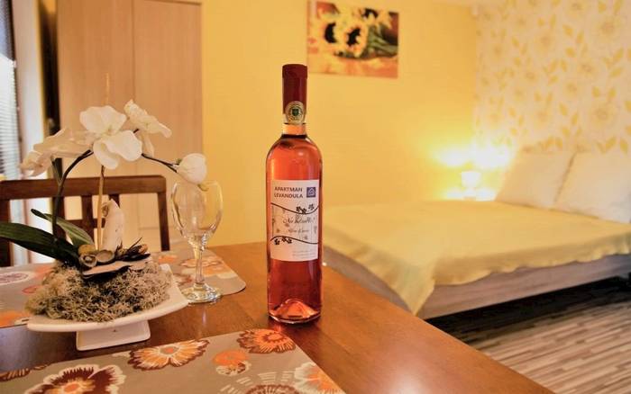 Apartmán Slniečko