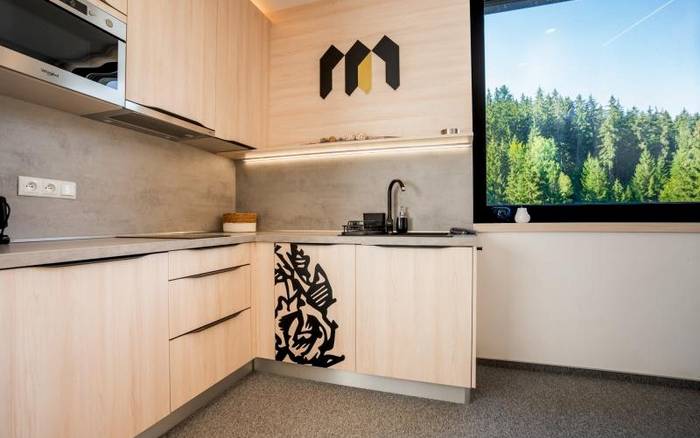 Apartmán s 1 spálňou a terasou