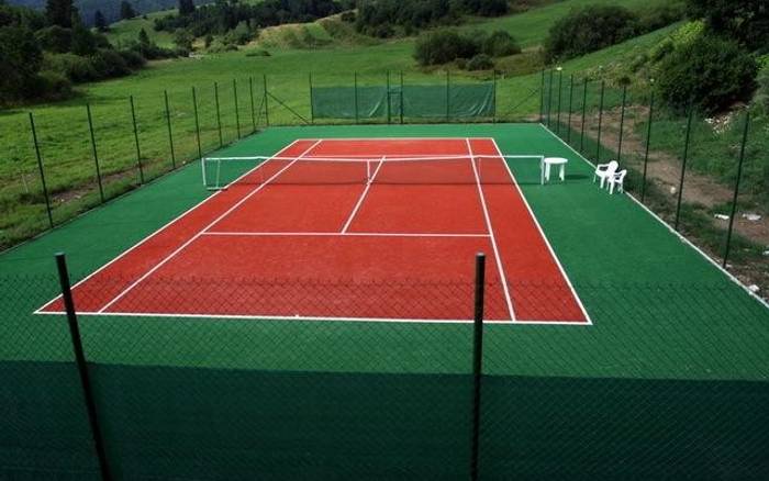 Tenis