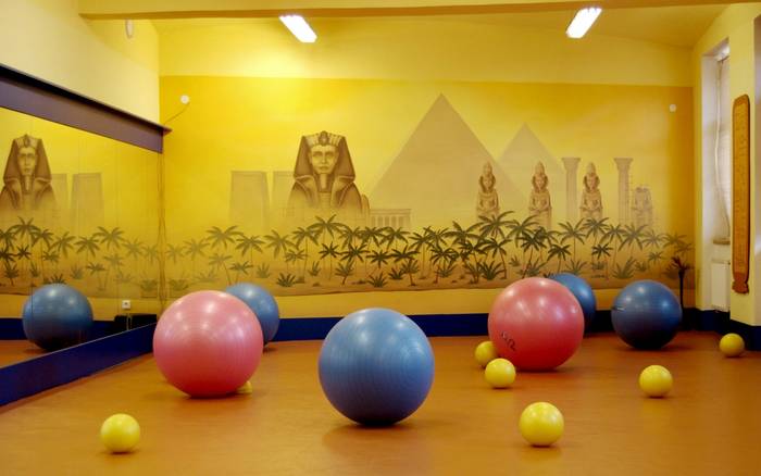 Fitness