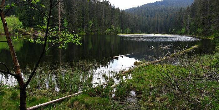 TOP atrakce v regionu Plzeňsko