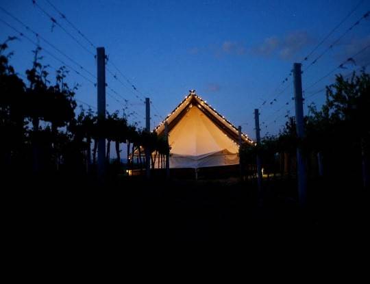 Glamping na kopečku u vinohradu
