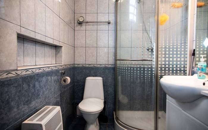 Kúpeľňa so sprchovacím kútom a toaletou