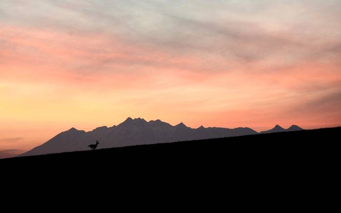 Vysoké Tatry / Ubytovanie Stará Ľubovňa