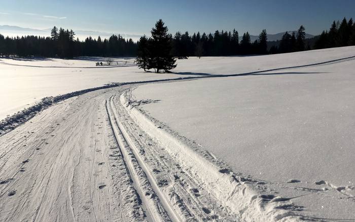 bežky