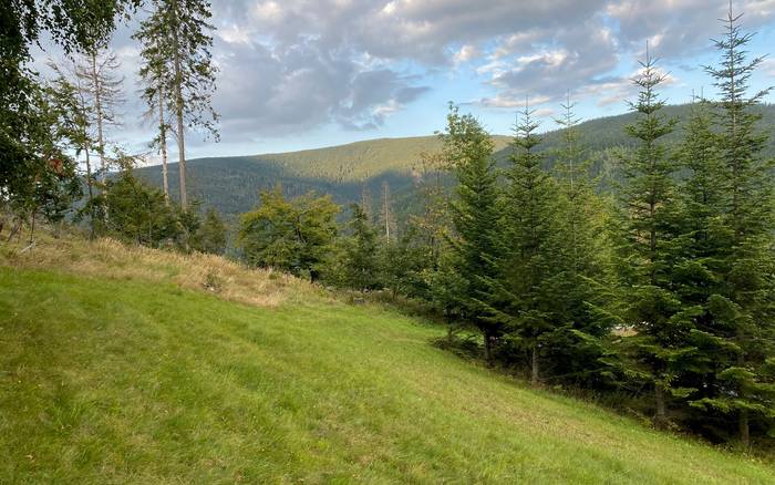 Wellness chata Labská