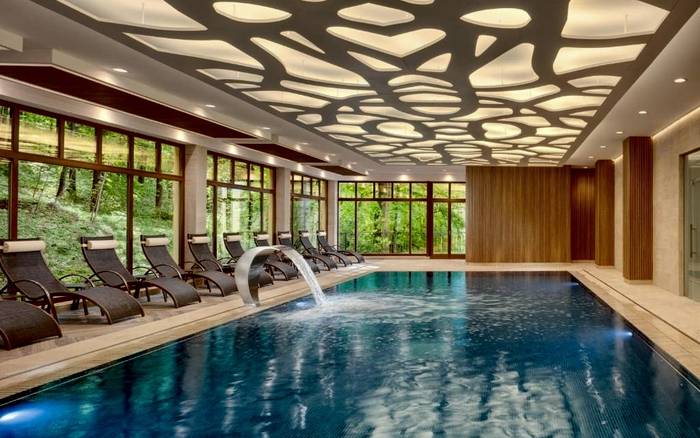 Wellness