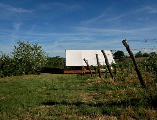 Glamping na kopečku u vinohradu