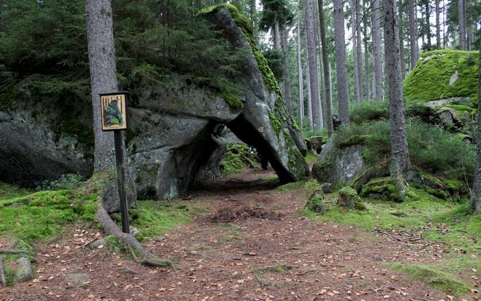Medvědí stezka v NP Šumava