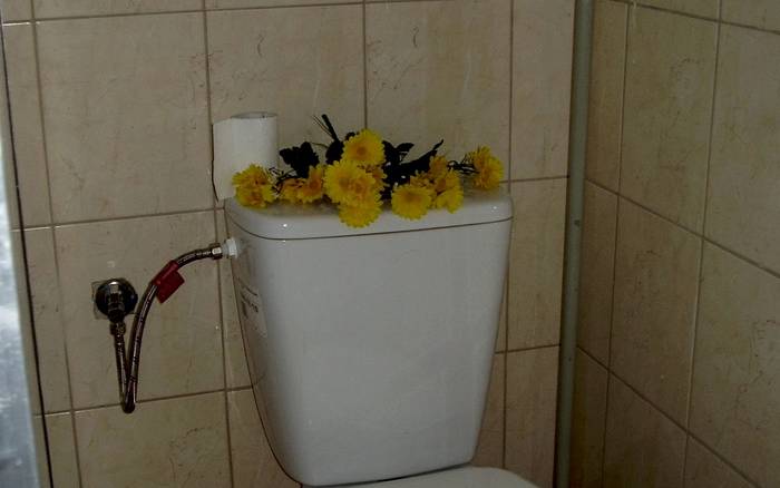 Chalupa na vŕšku Podhájska