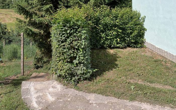 Exteriér