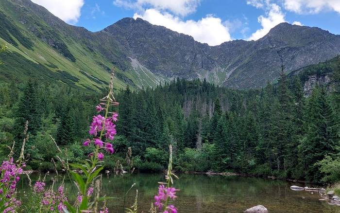 Roháčke pleso 