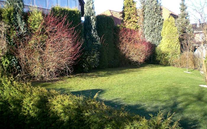 Szállás a Bluestars Apartmentsben