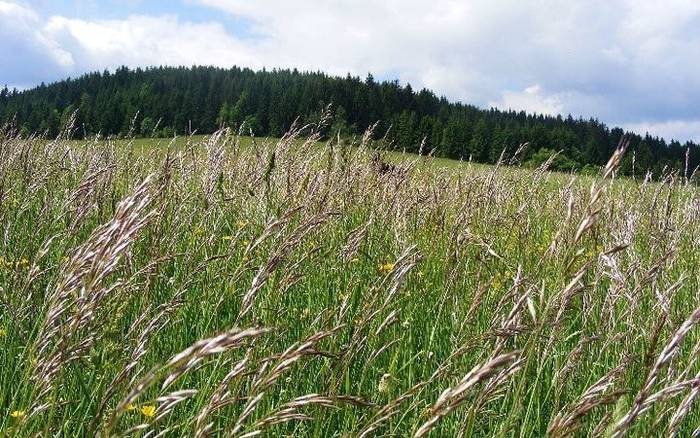 Chata nad briežkami