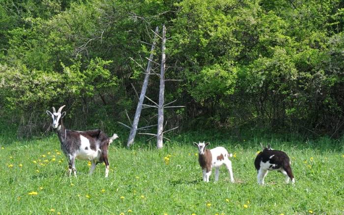 Na rozhľadni na vrchu Bobovec nad Starou Bystricou 