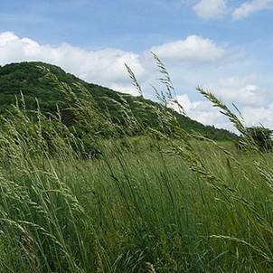 Nature trail Zobor II.